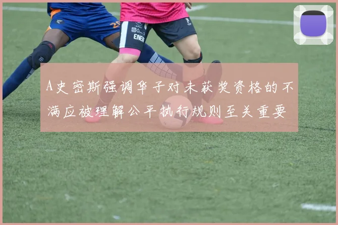 A史密斯强调华子对未获奖资格的不满应被理解公平执行规则至关重要
